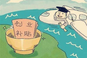 人才创业险是什么